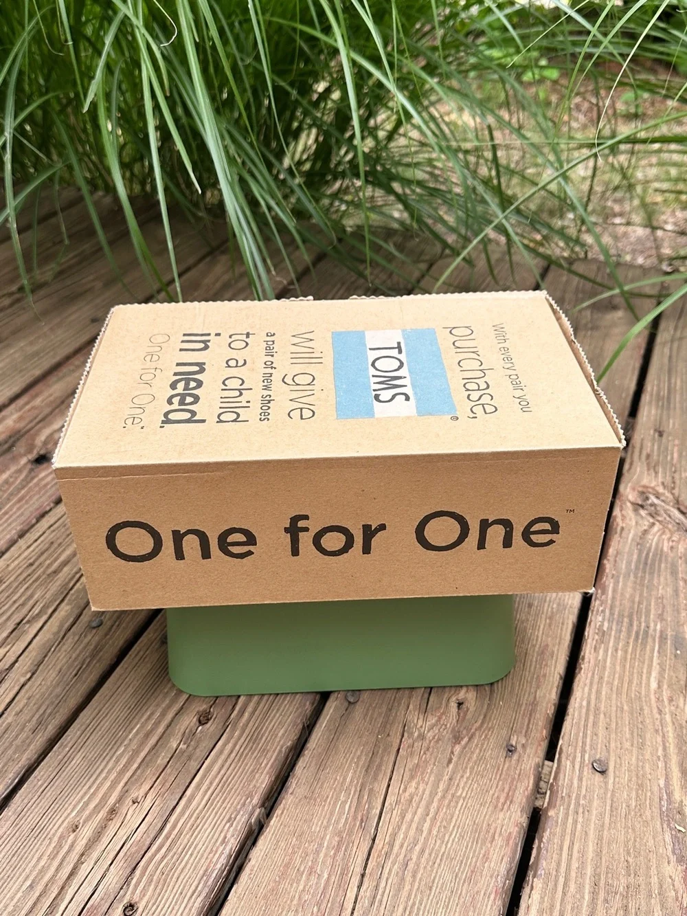 Toms desert wedge